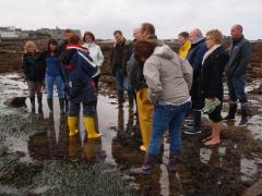 Visite de terrain animée par la Station biologique de Roscoff