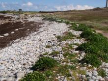 cordon de galet - Ile de Batz