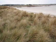 Dunes du Dossen - Santec