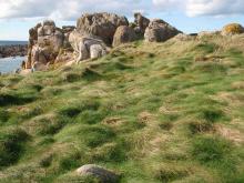 pelouse aérohaline - Porz reter - Ile de Batz
